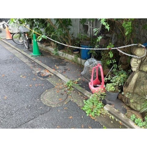 ブルーベルのその他
