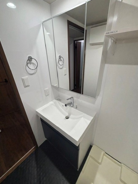 Ｔｈｅ　Ｓｈｉｎａｇａｗａ　Ｅａｓｔ　Ｒｅｓｉｄｅｎｃｅの洗面所|広い洗面スペース