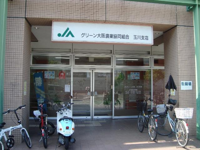 【周辺】 | メゾン・ド・ヴェルデ若江 | JAグリーン大阪玉川支店まで1,148ｍ