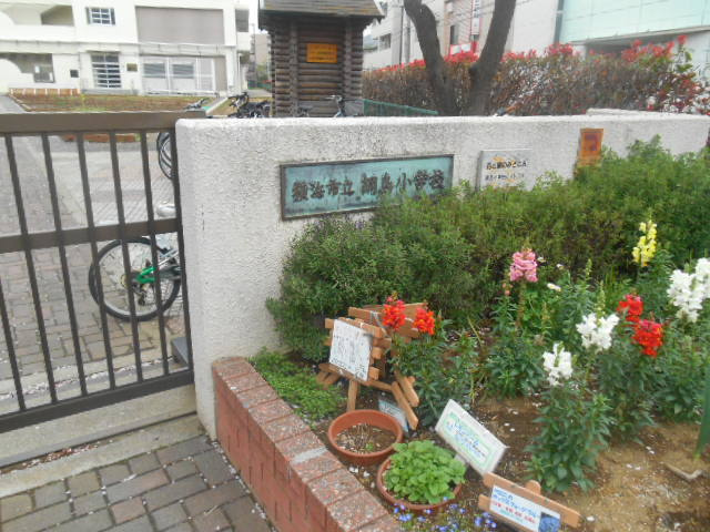 ディア柴田ガーデンのその他|横浜市立綱島小学校