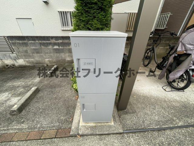 スッカセムのその他