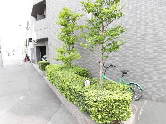 ルーブル王子のその他|敷地内の植栽です☆