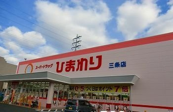 フローリッシュ・メゾン上野田１の周辺|スーパードラッグひまわり三条店まで800m