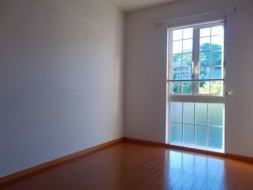 アウローラのその他