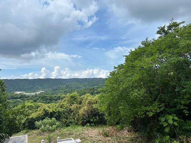 今帰仁村湧川の外観