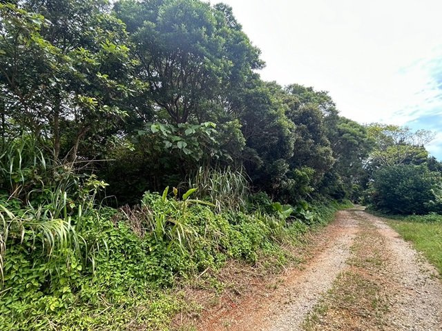 今帰仁村湧川の外観