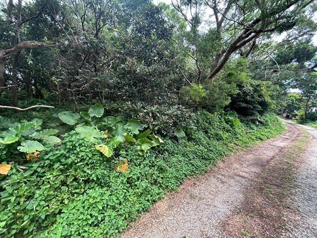今帰仁村湧川の外観