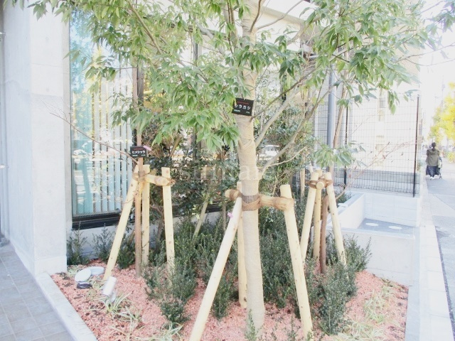 ZOOM王子神谷のその他|植栽です☆