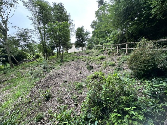 【庭】 | 住友不動産伊豆一碧湖別荘地　戸建