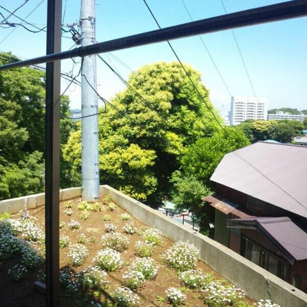 トールハイツの展望