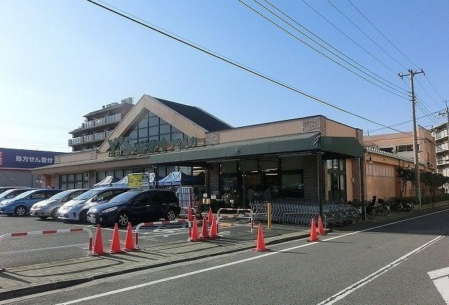 【その他】 | ポラリス