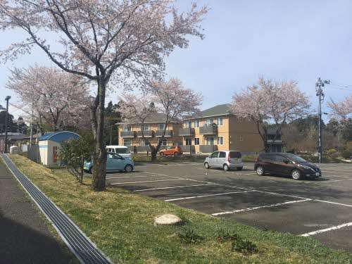ガーデンコート五番館の庭