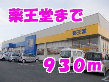 スカイフィールドの周辺|薬王堂まで930m
