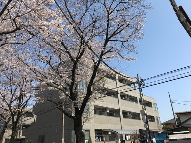 シルク南参道Rの外観
