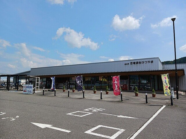 サンリットビュー・コヤマⅡの周辺|道の駅　恐竜渓谷かつやままで772m