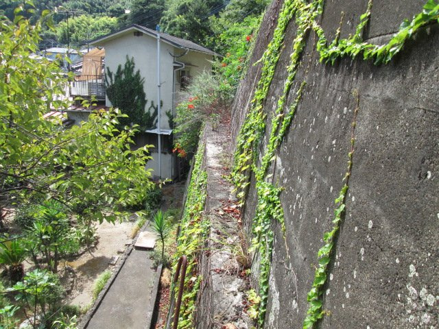別府市浦田4組の庭