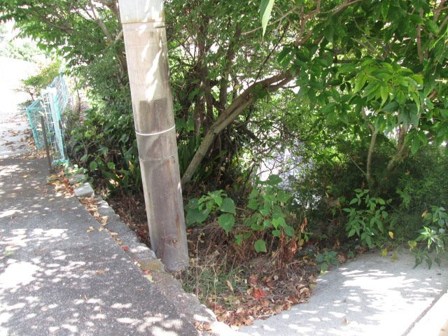 別府市浦田4組のその他