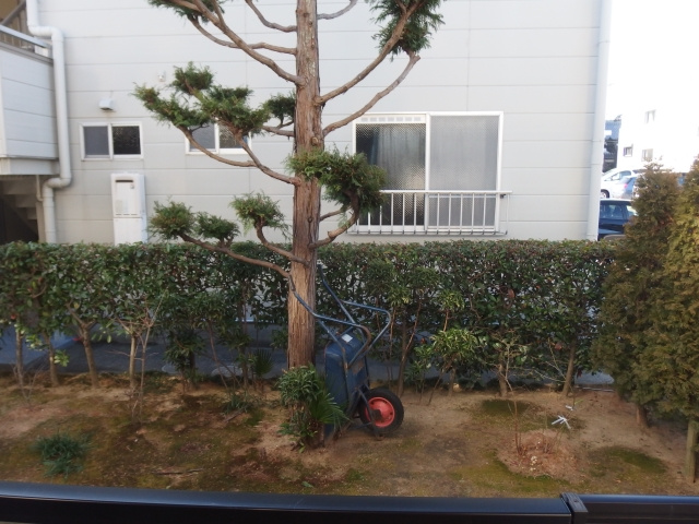 グリーンハイツ２（柱町）の展望