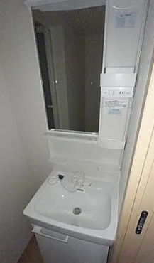 ブリリアンス根岸の洗面所