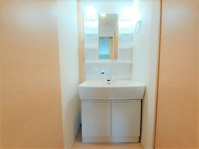 サンシャトーＤの洗面所