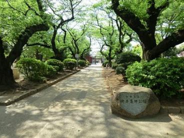 【周辺】 | 中野区新井1丁目　新築戸建　A号棟 17800万円 | 新井薬師公園