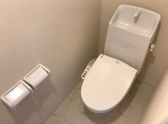 サラス　オーロのトイレ