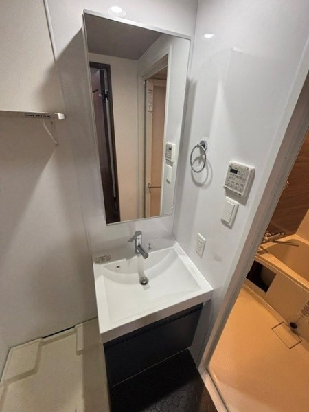 Ｔｈｅ　Ｓｈｉｎａｇａｗａ　Ｅａｓｔ　Ｒｅｓｉｄｅｎｃｅの洗面所|使いやすい洗面所です