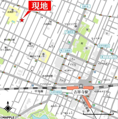 ＴＨＥ　ＨＡＬＥの周辺