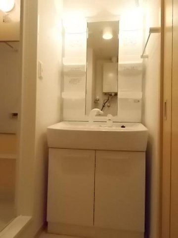 メゾン　ド　ファミーユ美園の洗面所