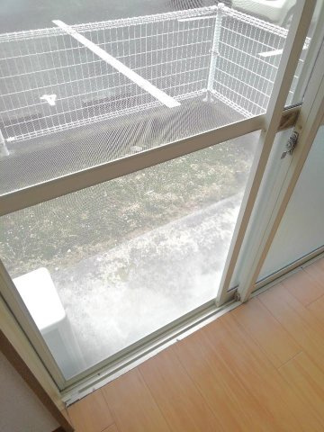セピアハイツ田中の庭