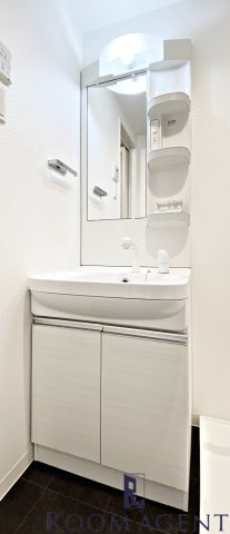 S-RESIDENCE堀田の洗面所
