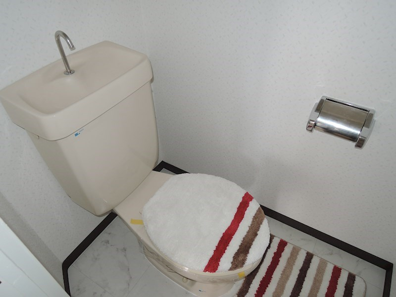 川崎市多摩区菅稲田堤１丁目の賃貸マンションのトイレ
