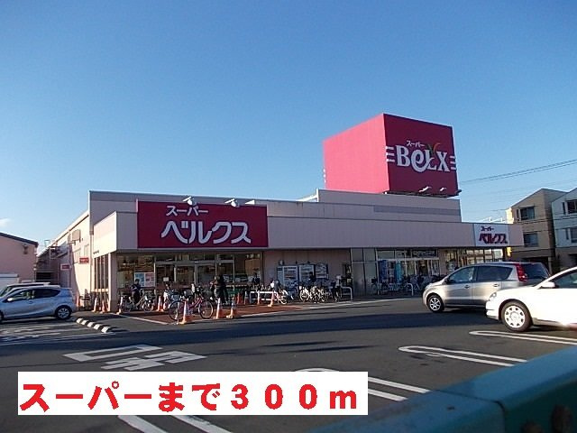 ファインアベニューⅢの周辺|ベルクスまで300m