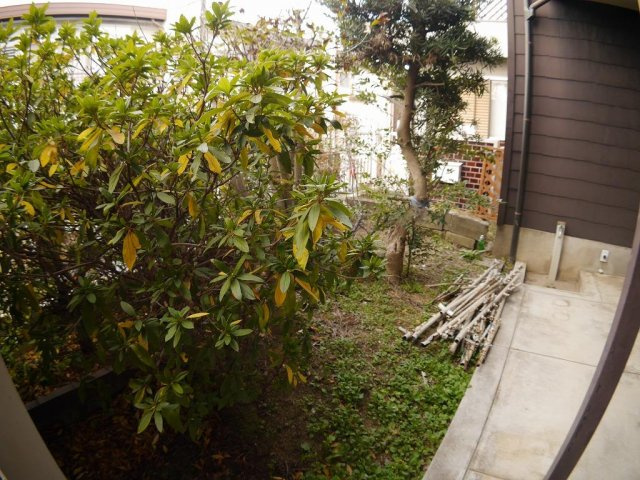 魚住町戸建の庭