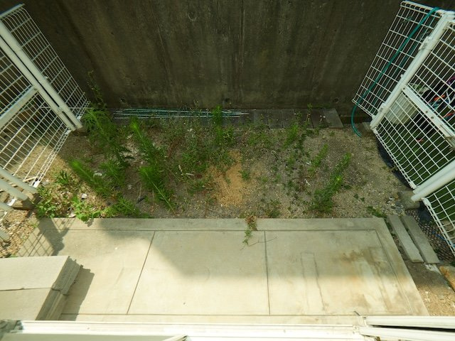 タウンハウス伊川谷の庭|南面専用庭