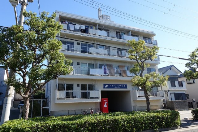 パインリーフ甲子園