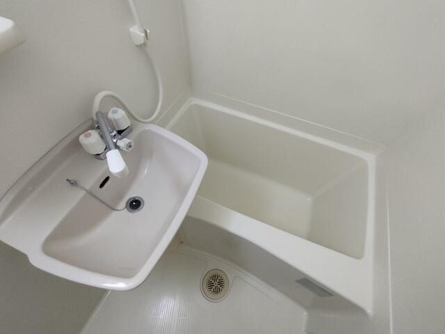 グラントワ谷在家の洗面所