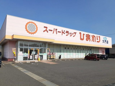 【周辺】 | ロイヤル・パレス城興 | ひまわり大門店まで1100m