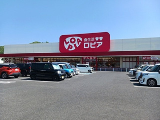 【周辺】 | メゾン　クレールＡ | ロピア新市店まで800m