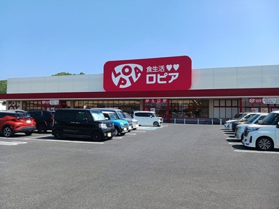 【周辺】 | メゾン　クレールＡ | ロピア新市店まで800m