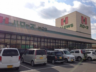 【周辺】 | グリシーヌ | ハローズ神辺店まで900m