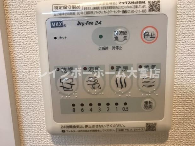 Lapisのその他