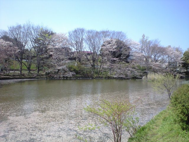 妙蓮寺ハウスのその他|菊名池公園