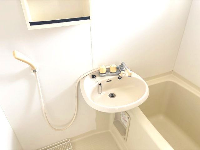 アミティハイムの洗面所