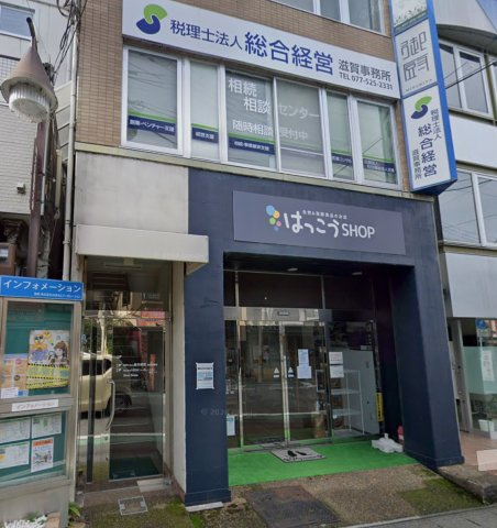 T.H.51 の外観