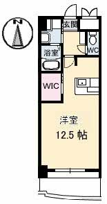 ネクステージ中井の間取り