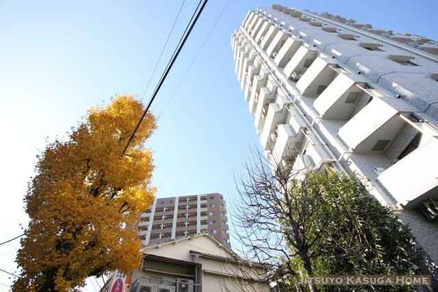 ライオンズプラザ白山の画像