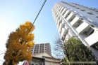 ライオンズプラザ白山の画像