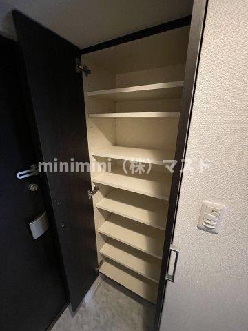 S-RESIDENCE難波Viale(ビアーレ)の収納