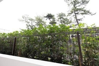 パークアクシス市川のその他